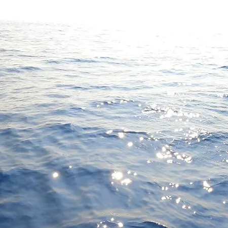 Apartment An Oasis In The Middle Of Spanish Style *